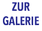 ZUR GALERIE